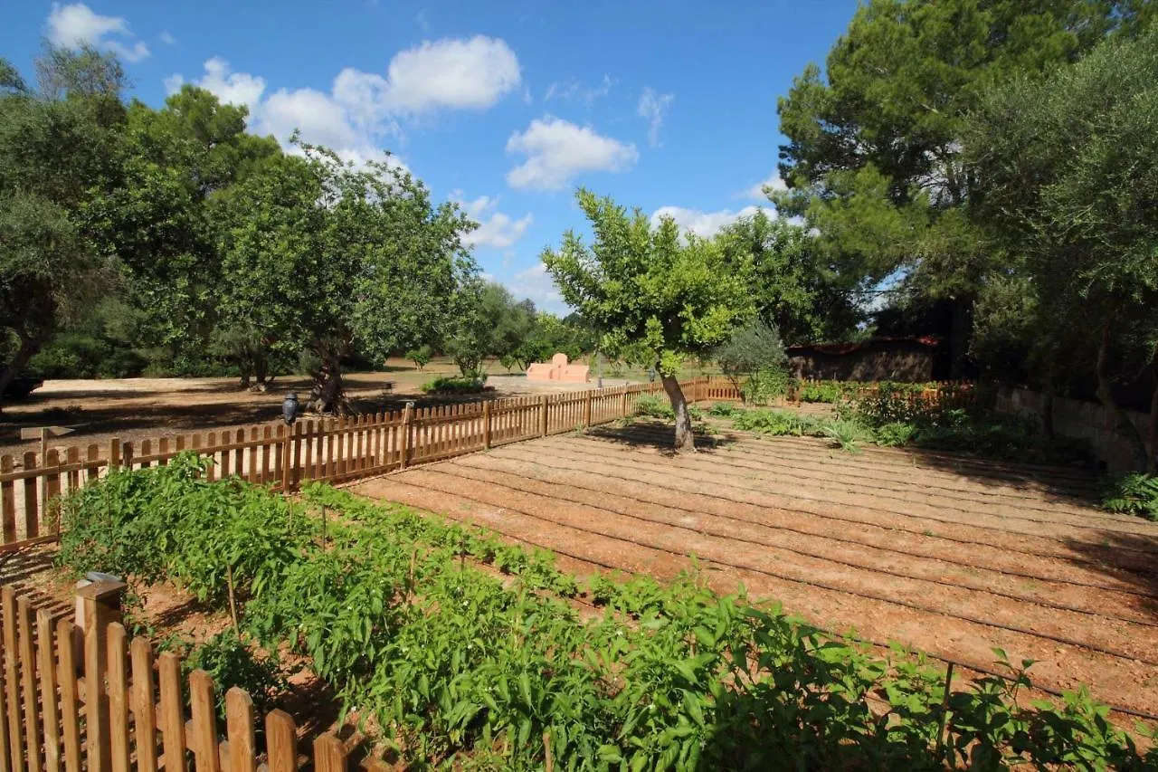 Villa Cami De Son Lluch Algaida