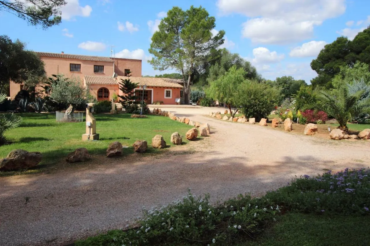 Villa Cami De Son Lluch Algaida